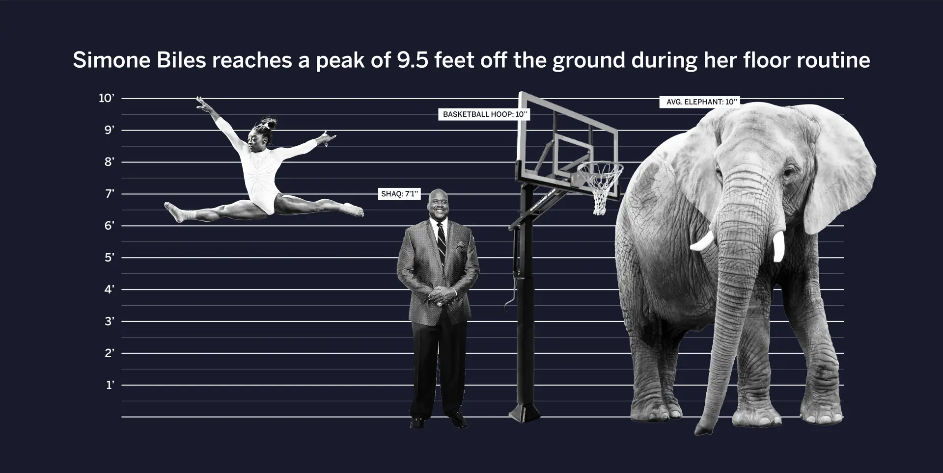 Upper hand – simone biles height during floor routine compared to shaq, a basketball hoop, and an elephant